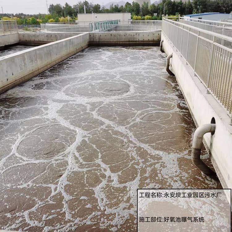 好氧池曝气系统